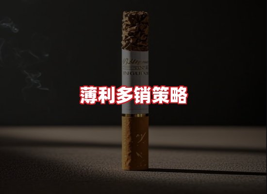 专业团队